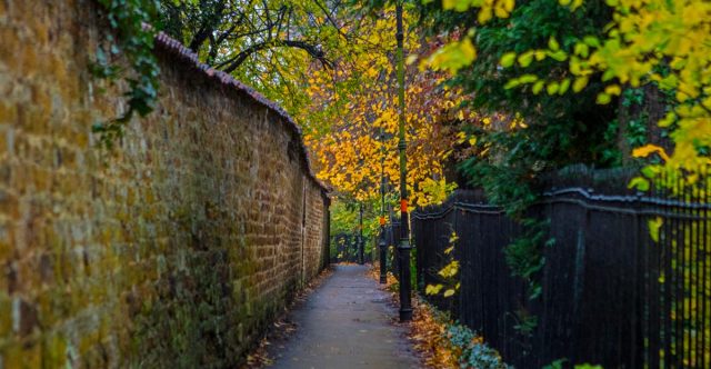 Alleyway with trees.