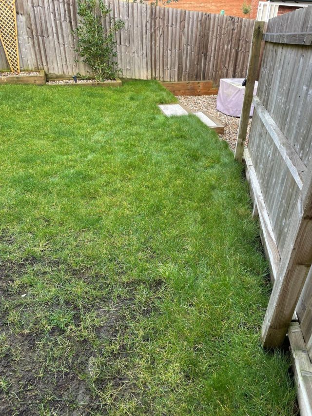 Back garden artificial grass.